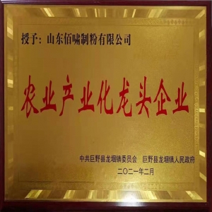 農(nóng)業(yè)產(chǎn)業(yè)化龍頭企業(yè)