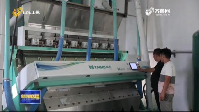 山東糧企讓每一粒糧食實(shí)現(xiàn)最大化利用(圖3) 山東糧企讓每一粒糧食實(shí)現(xiàn)最大化利用(圖3)